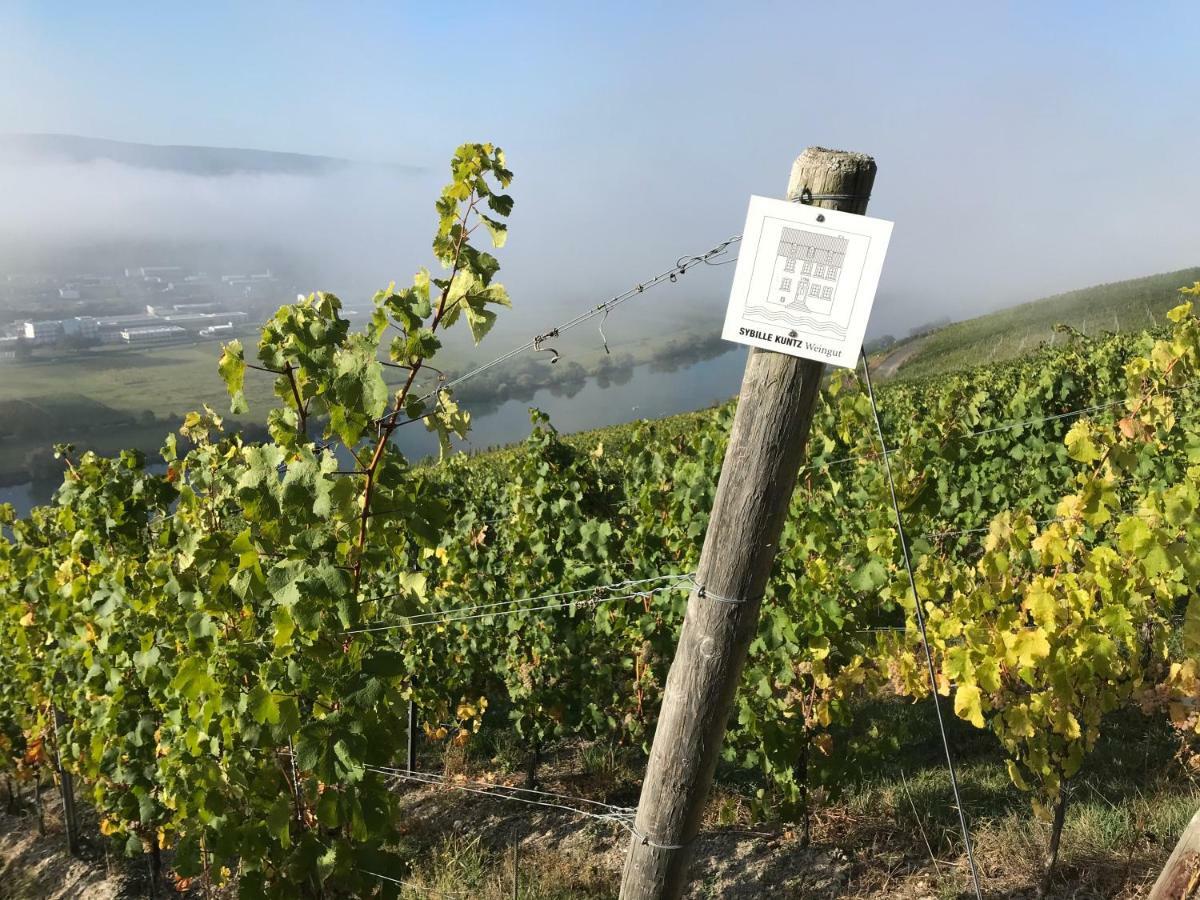 Sybille Kuntz Weingut Gaestehaus Lieser Kültér fotó
