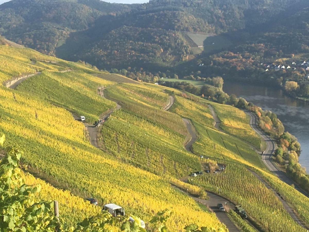 Sybille Kuntz Weingut Gaestehaus Lieser Kültér fotó